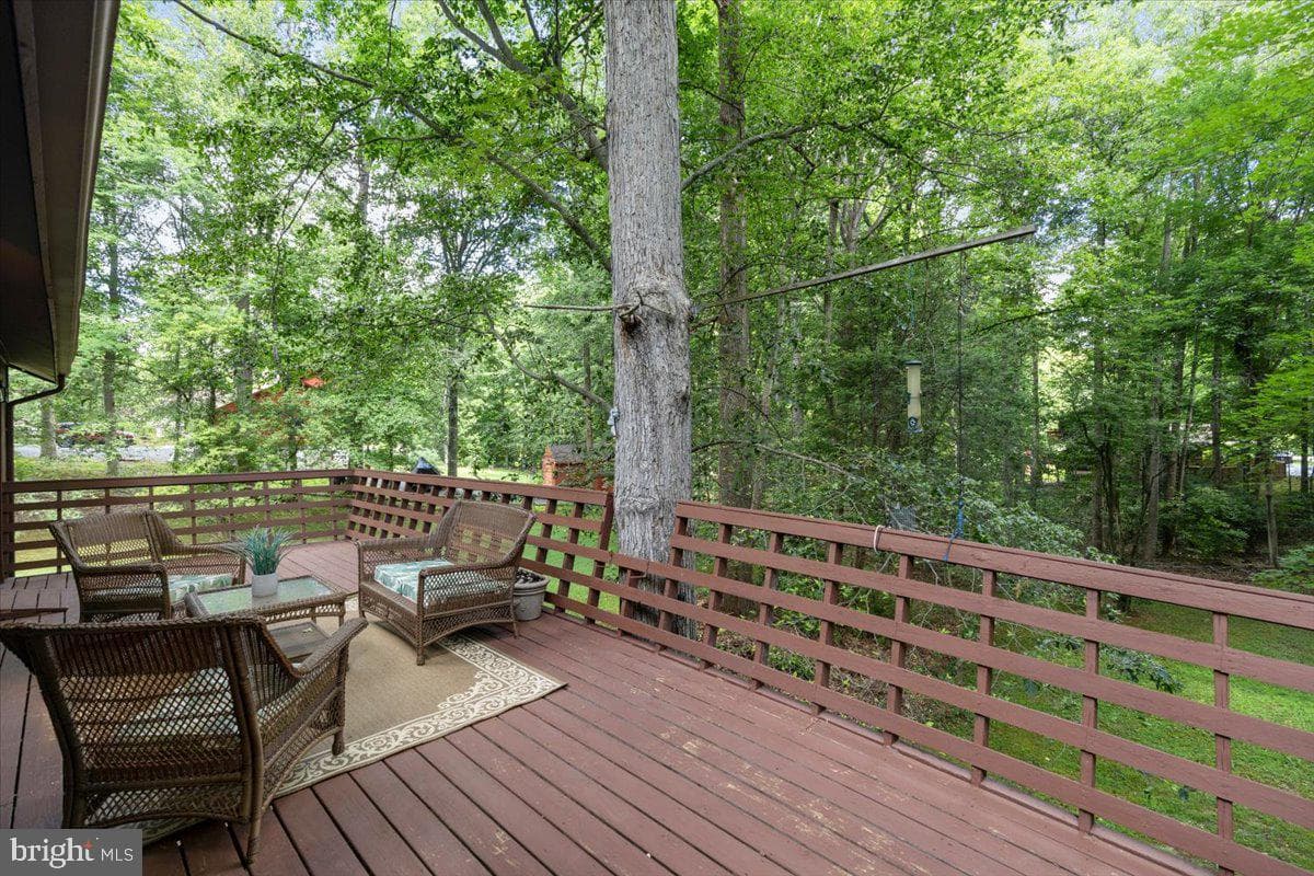 12212 Woodlark Court photo 20
