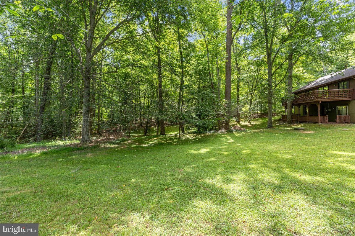 12212 Woodlark Court photo 66