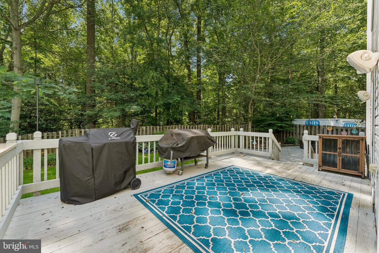 13187 Trails End Court photo 44