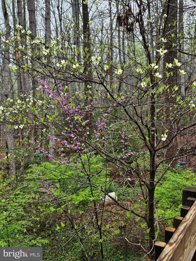 13437 Bristow Road photo 54