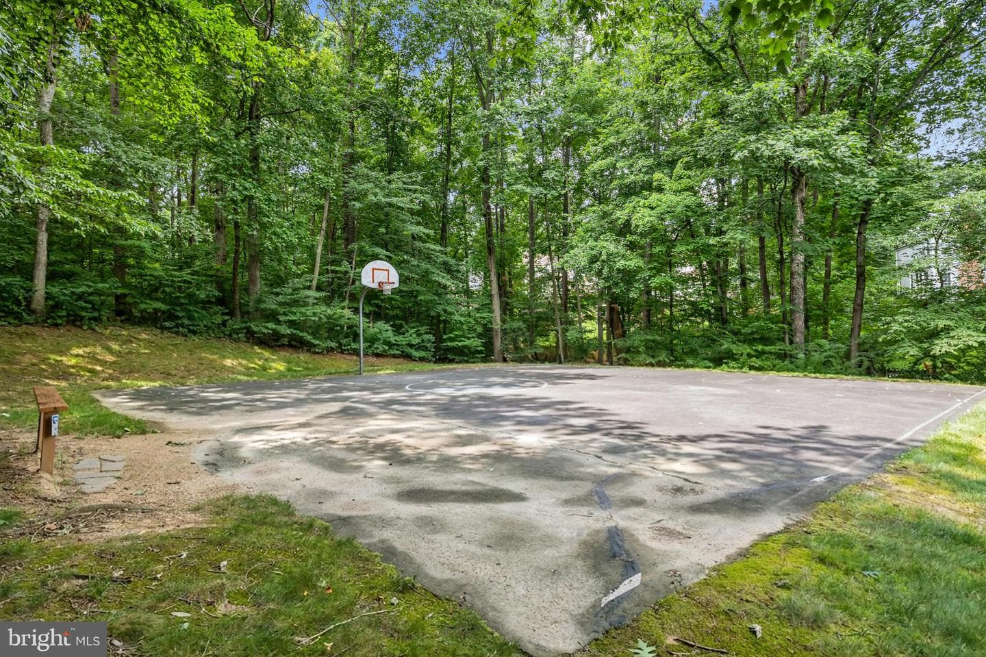13057 Michie Court photo 49