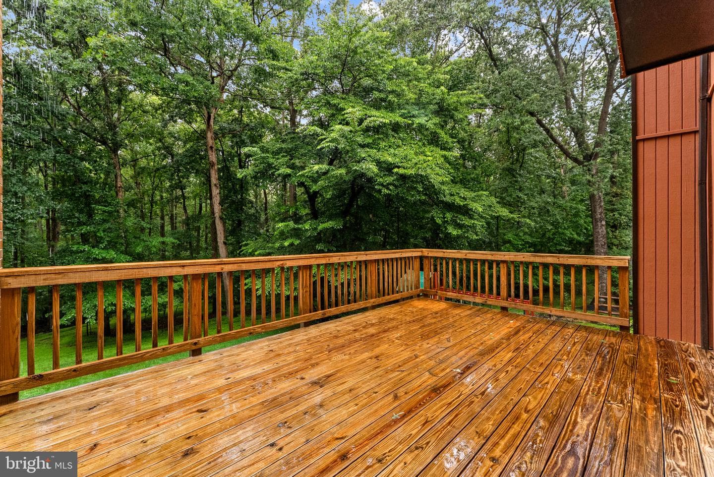 2597 Tree House Drive photo 58
