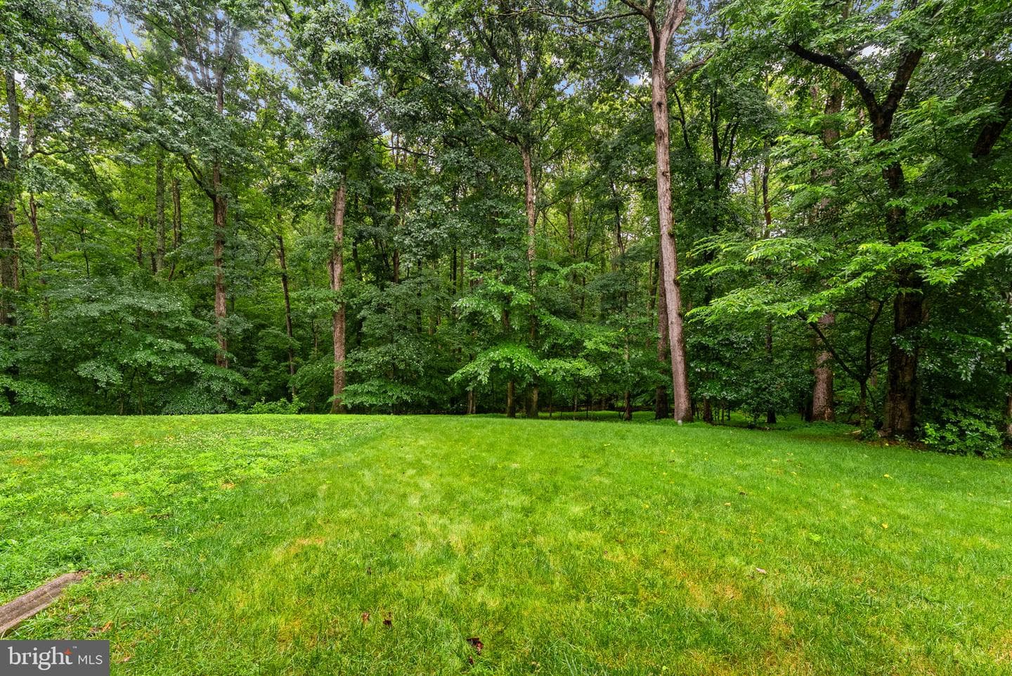 2597 Tree House Drive photo 61