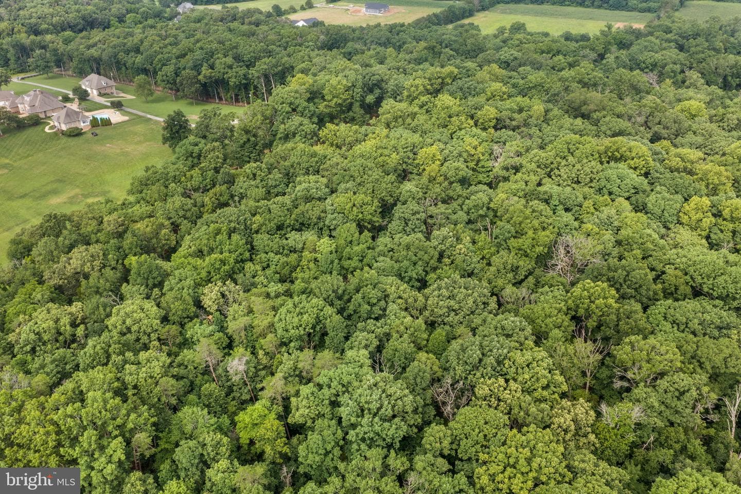 10904 Manley Road photo 45