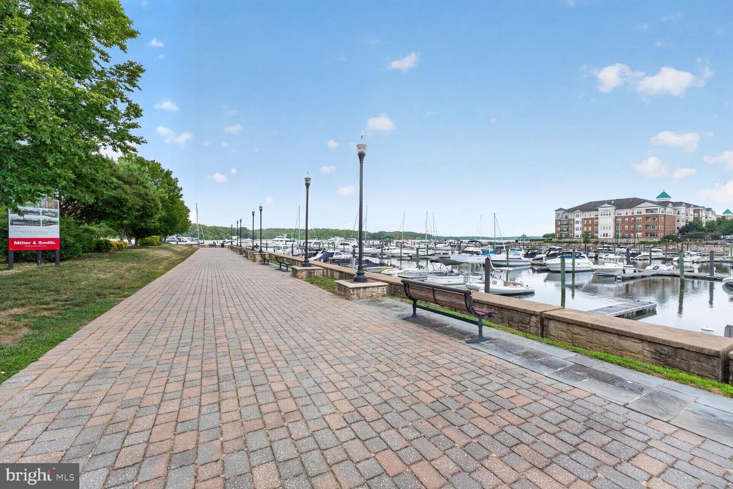 810 Belmont Bay Drive #204 photo 26