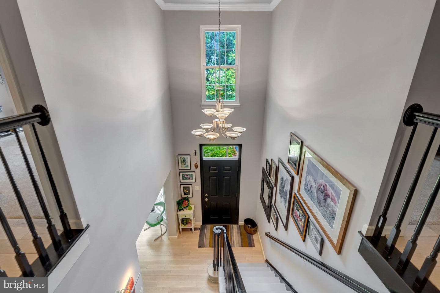 10090 Tummel Falls Drive photo 49