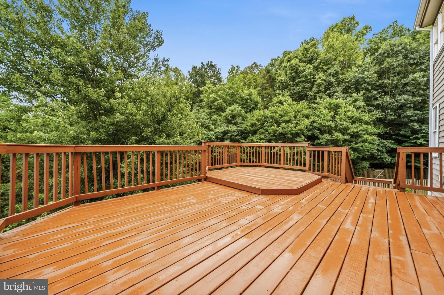 17090 Anns Brook Court photo 63