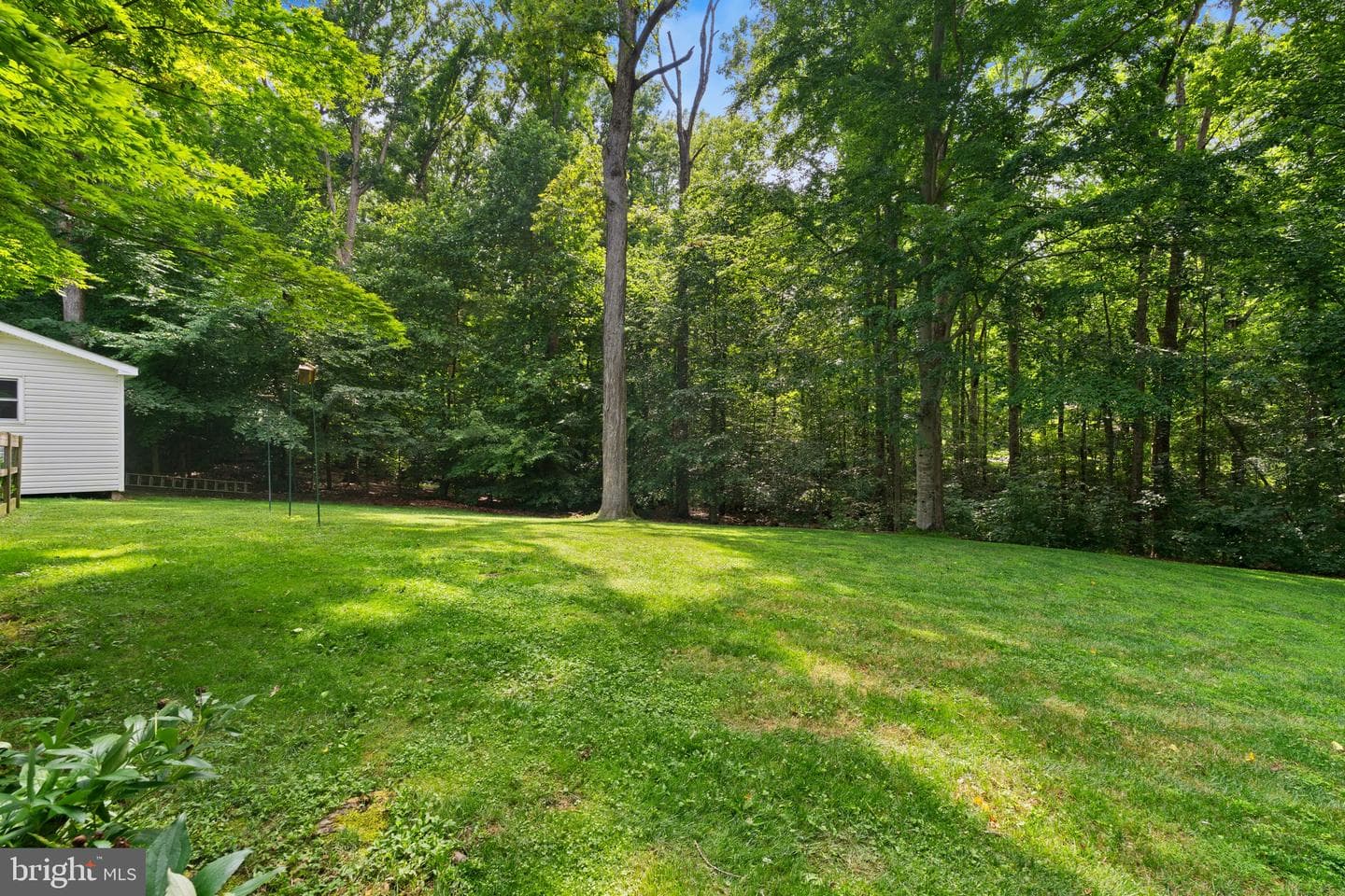 11580 Hicks Court photo 50