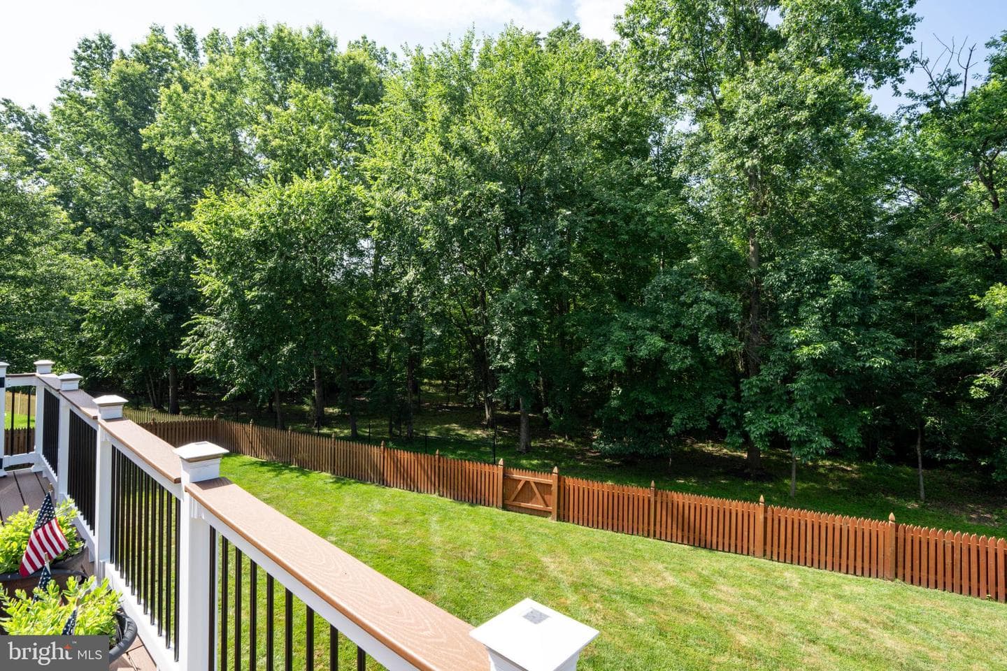 15777 Parkers Ford Court photo 20