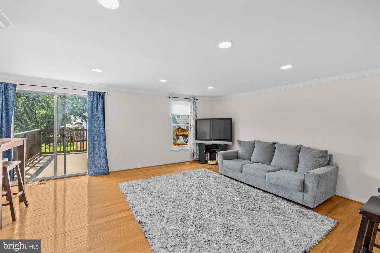 16950 Point Pleasant Lane photo 10
