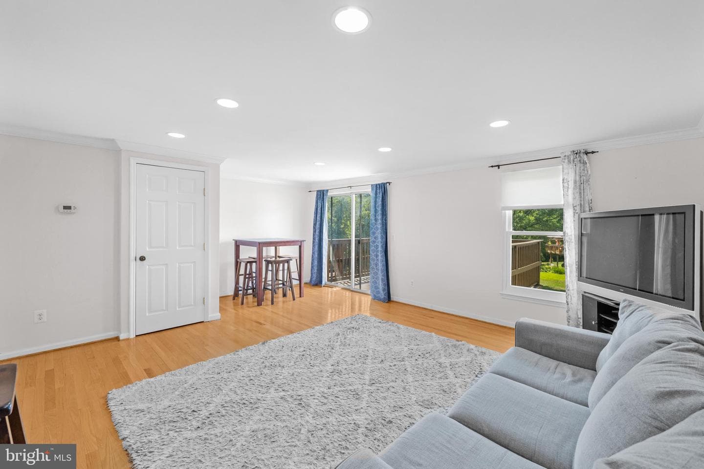 16950 Point Pleasant Lane photo 9