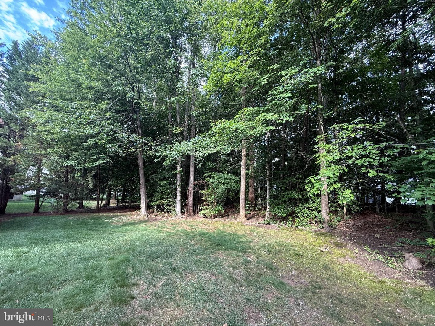 13175 Amblewood Drive photo 39