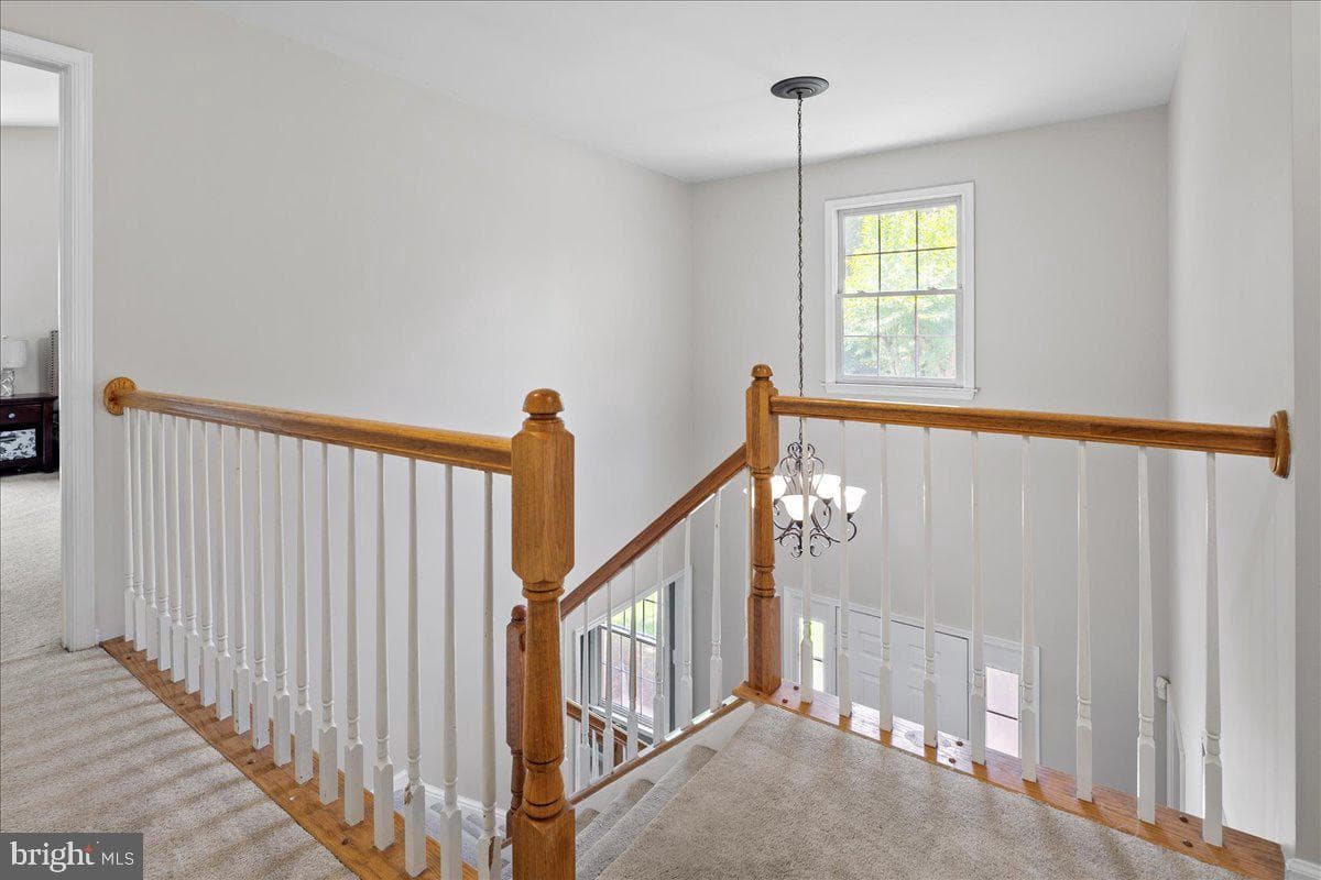 12567 Spiller Lane photo 42