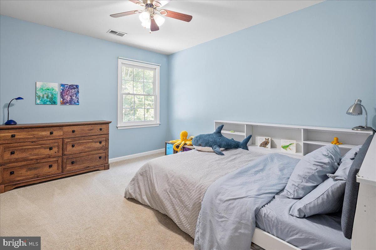 12567 Spiller Lane photo 54