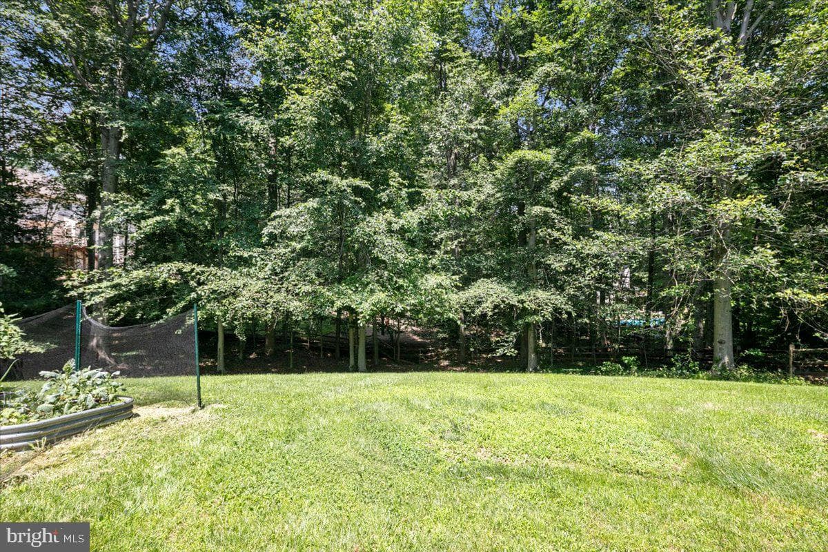 12567 Spiller Lane photo 85