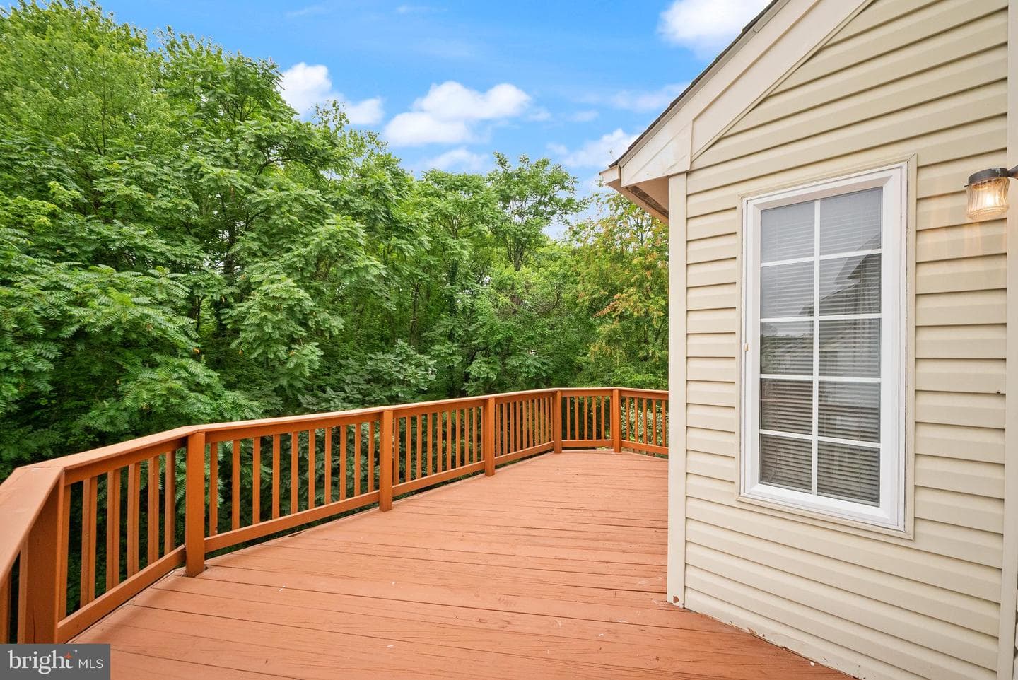 14196 Madrigal Drive photo 47