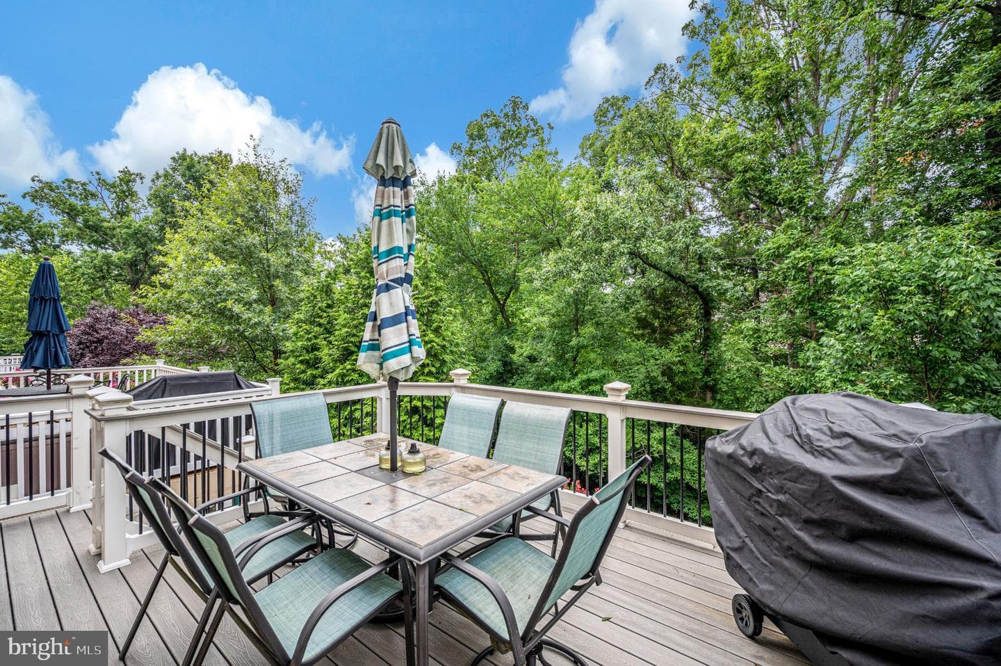 7739 Milton Circle photo 50