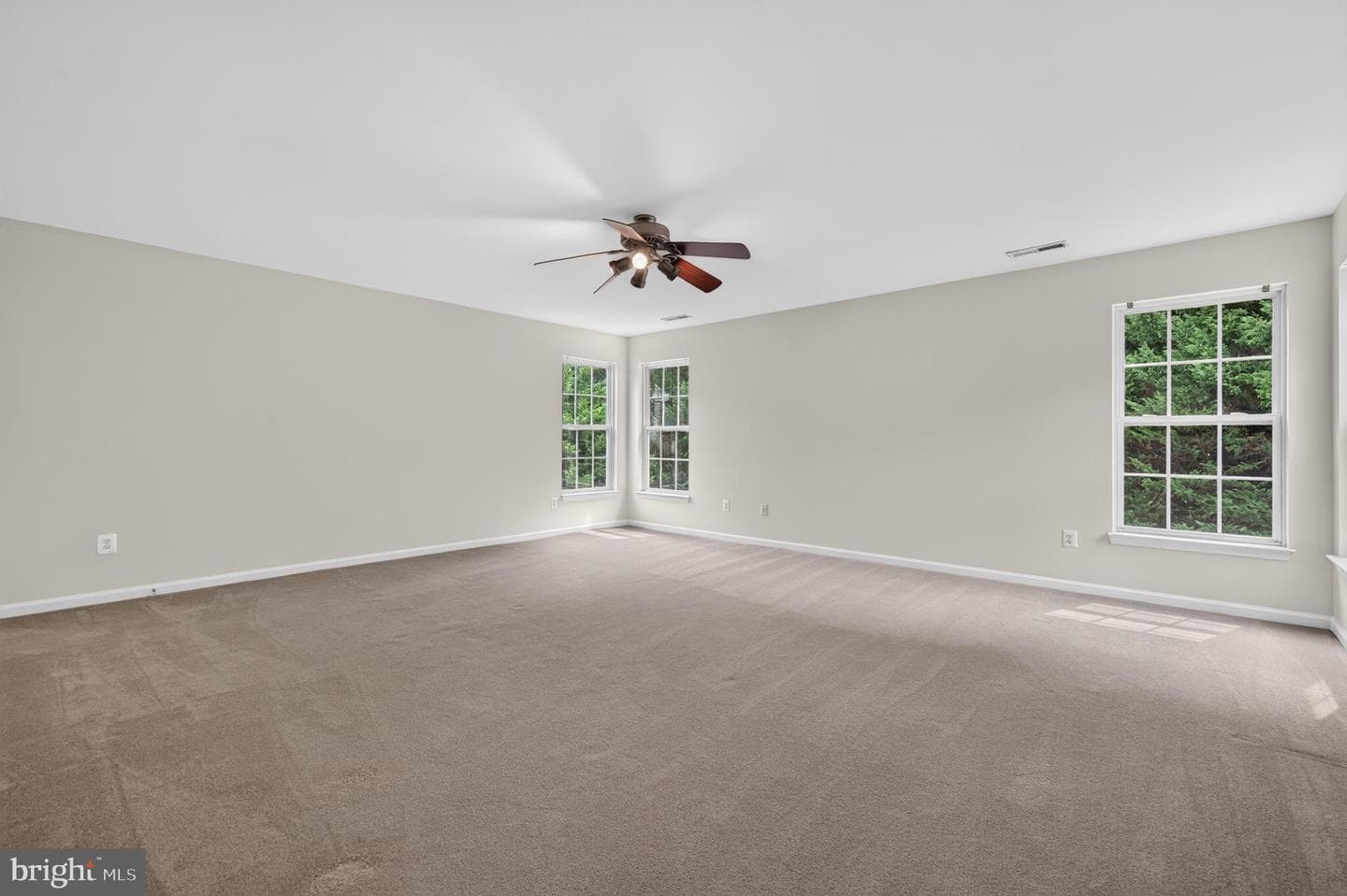 5930 Callie Furnace Court photo 49