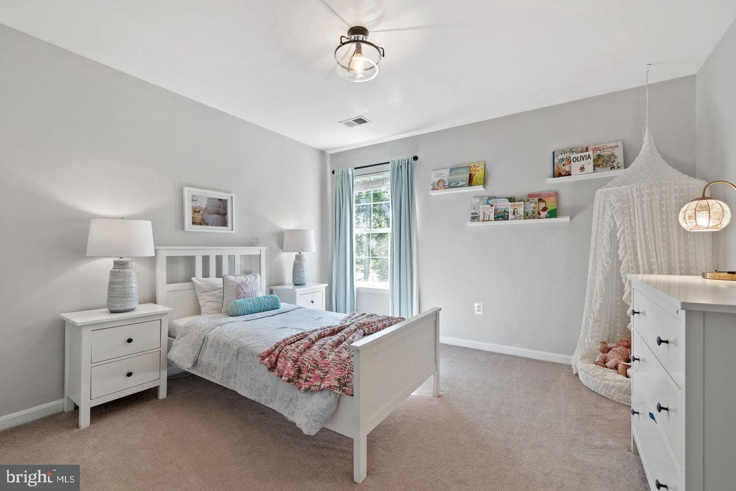 10274 Horizon View Court photo 43