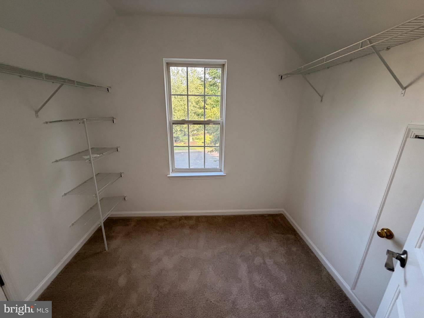 6542 Ashby Grove Loop photo 19