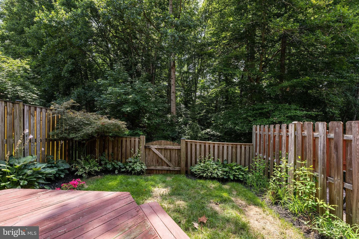 11578 Hill Meade Lane photo 49