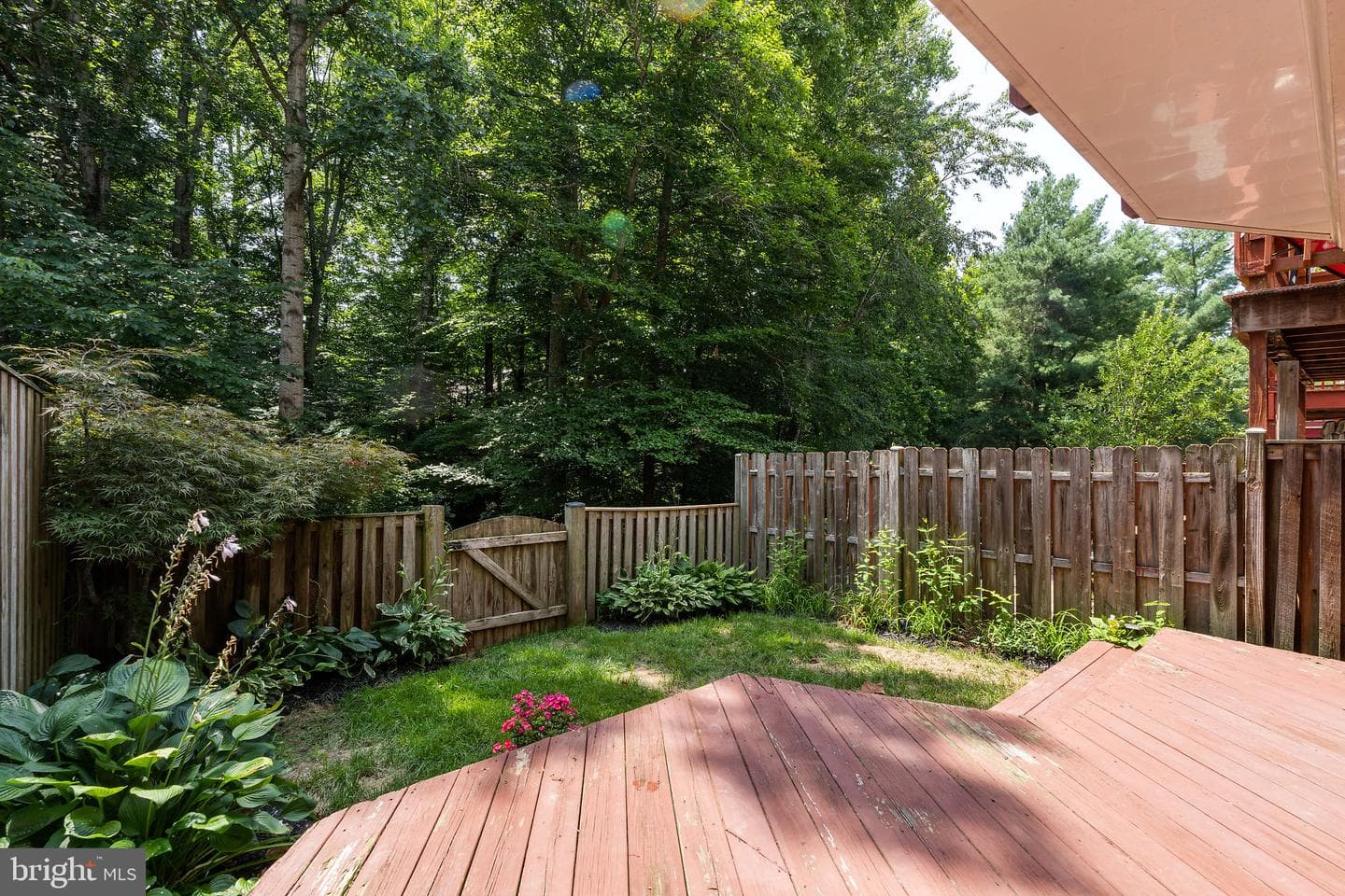 11578 Hill Meade Lane photo 52