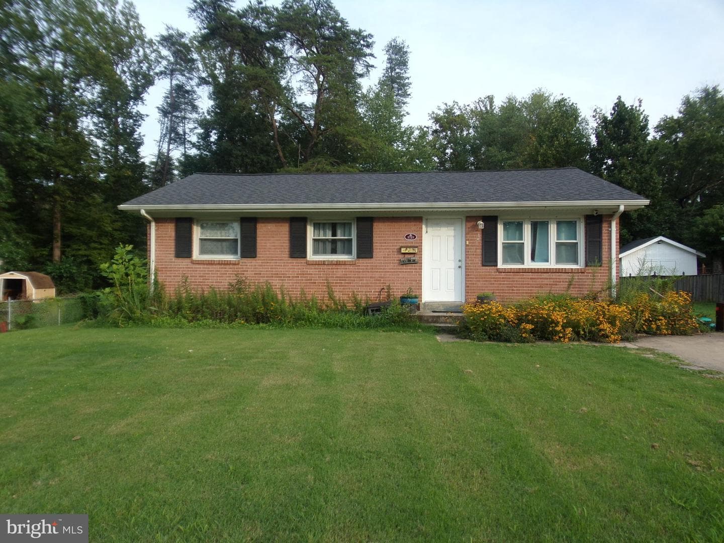 3721 Forestdale Avenue photo 1
