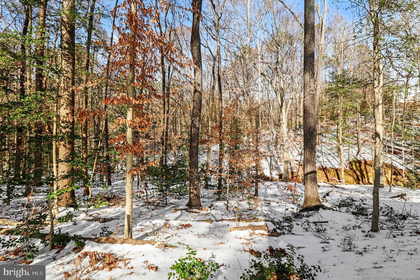 5170 Bemiss Road photo 26