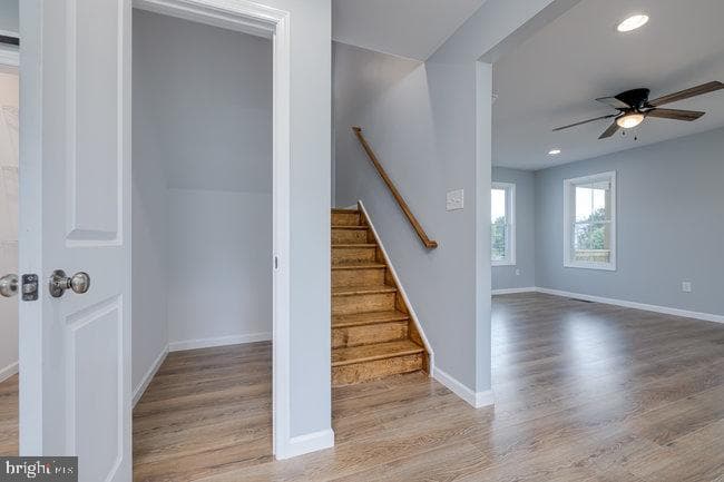 148 Belvedere Street photo 19