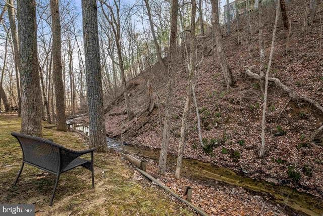 2521 Hawksbill Road photo 39