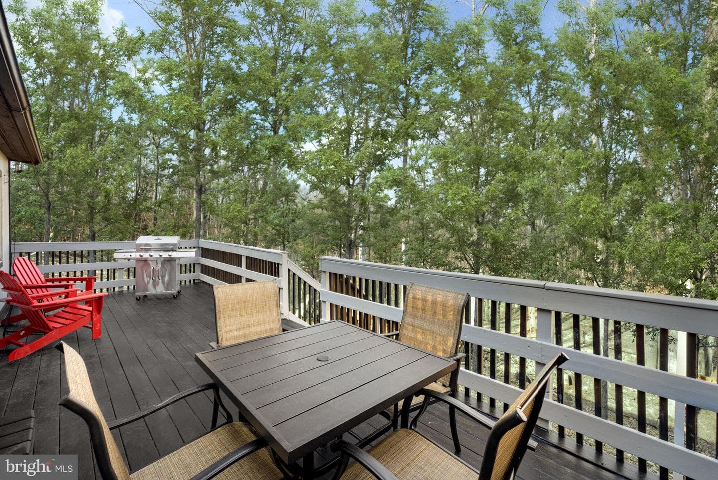 849 Sundance Mountain Road photo 4