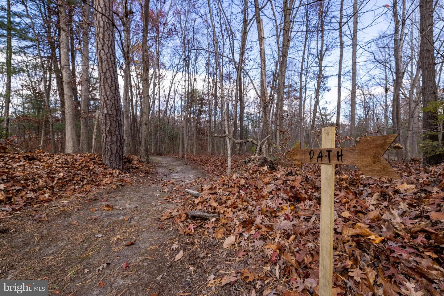 2050 Stony Creek Drive photo 24