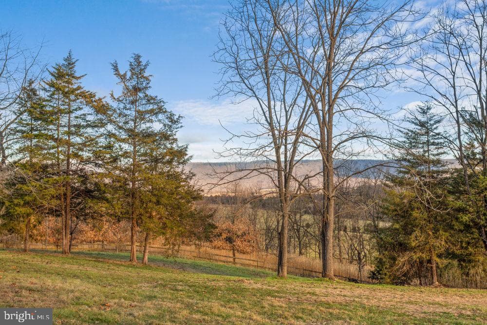 11481 Zirkle Lane photo 31