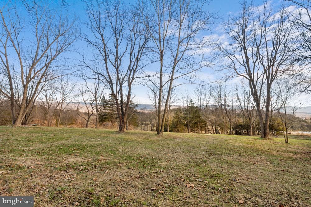 11481 Zirkle Lane photo 32