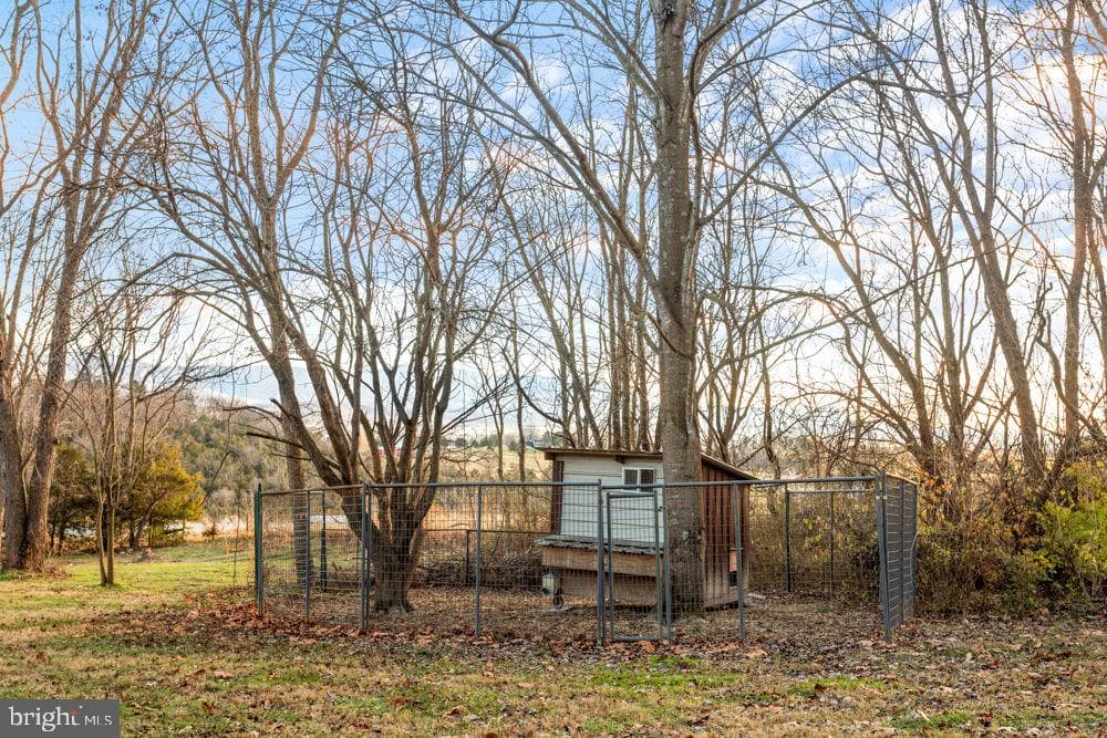 11481 Zirkle Lane photo 34