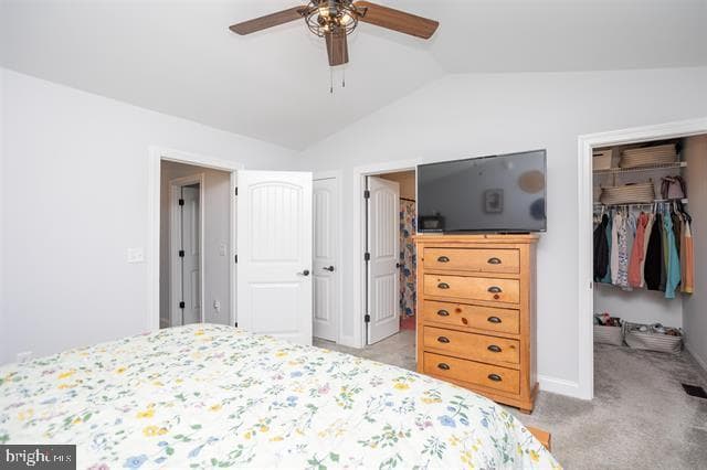 1091 Bluemoon Drive photo 15