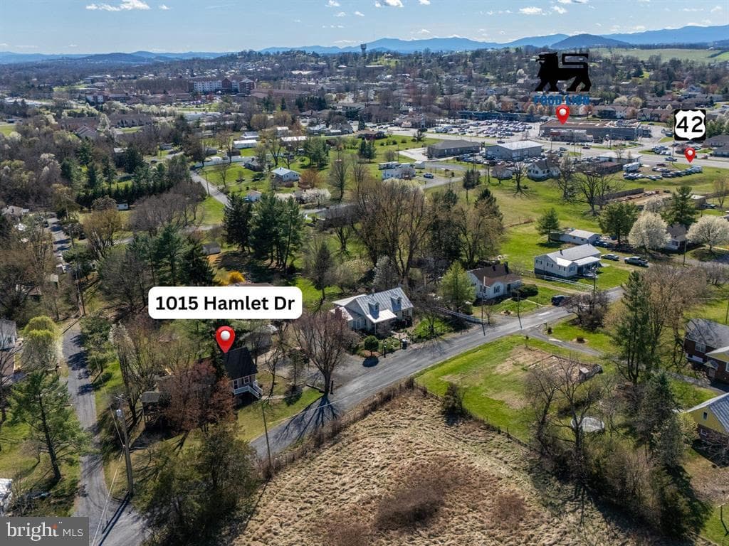 1015 Hamlet Drive photo 73