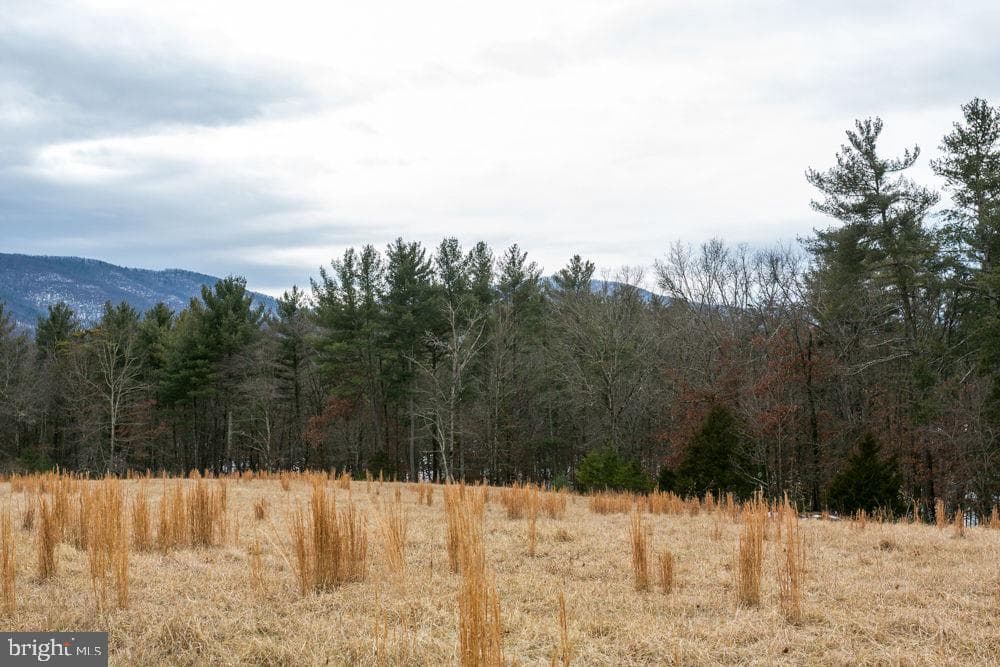 19962 Rainbow Ridge Road photo 31