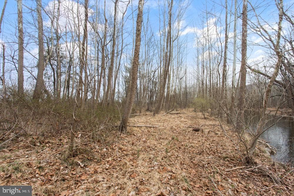 12111 Sleepy Hollow Lane photo 30