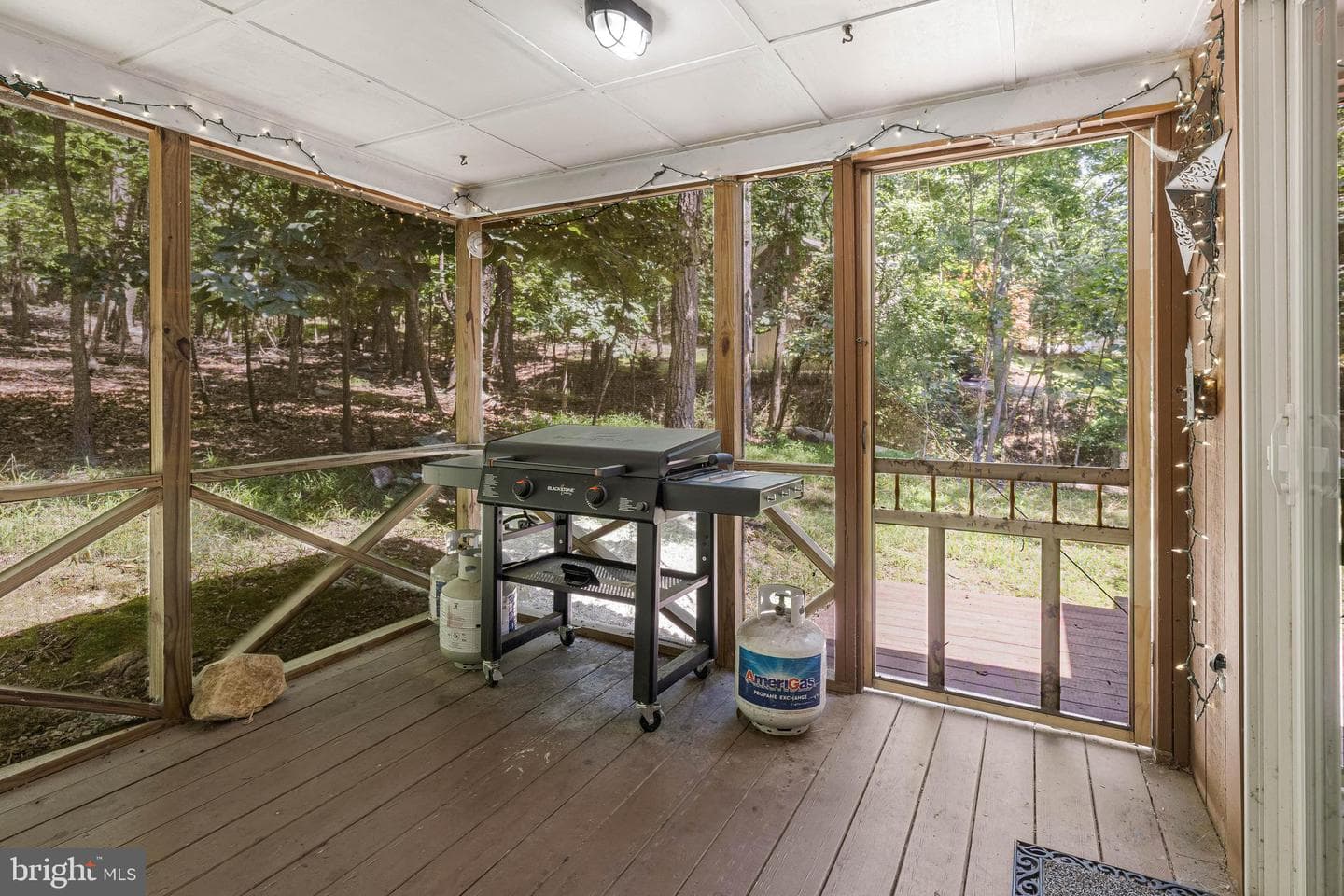 187 Piney Lane photo 23