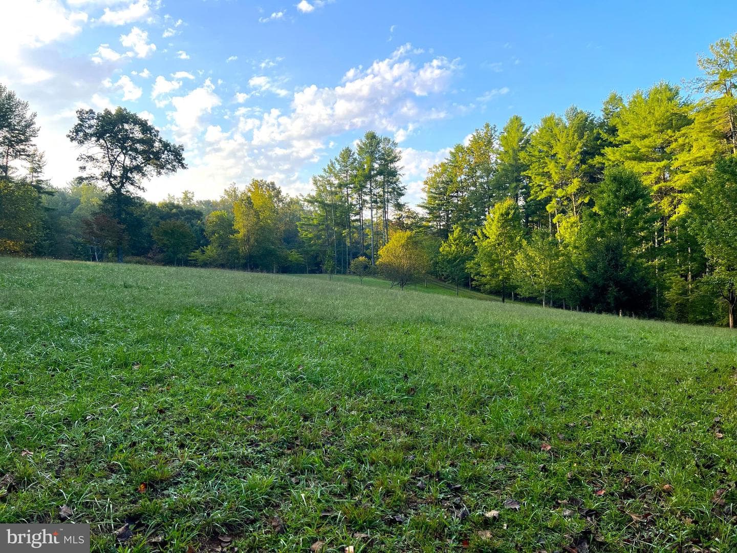 243 Aaron Mountain Road photo 45