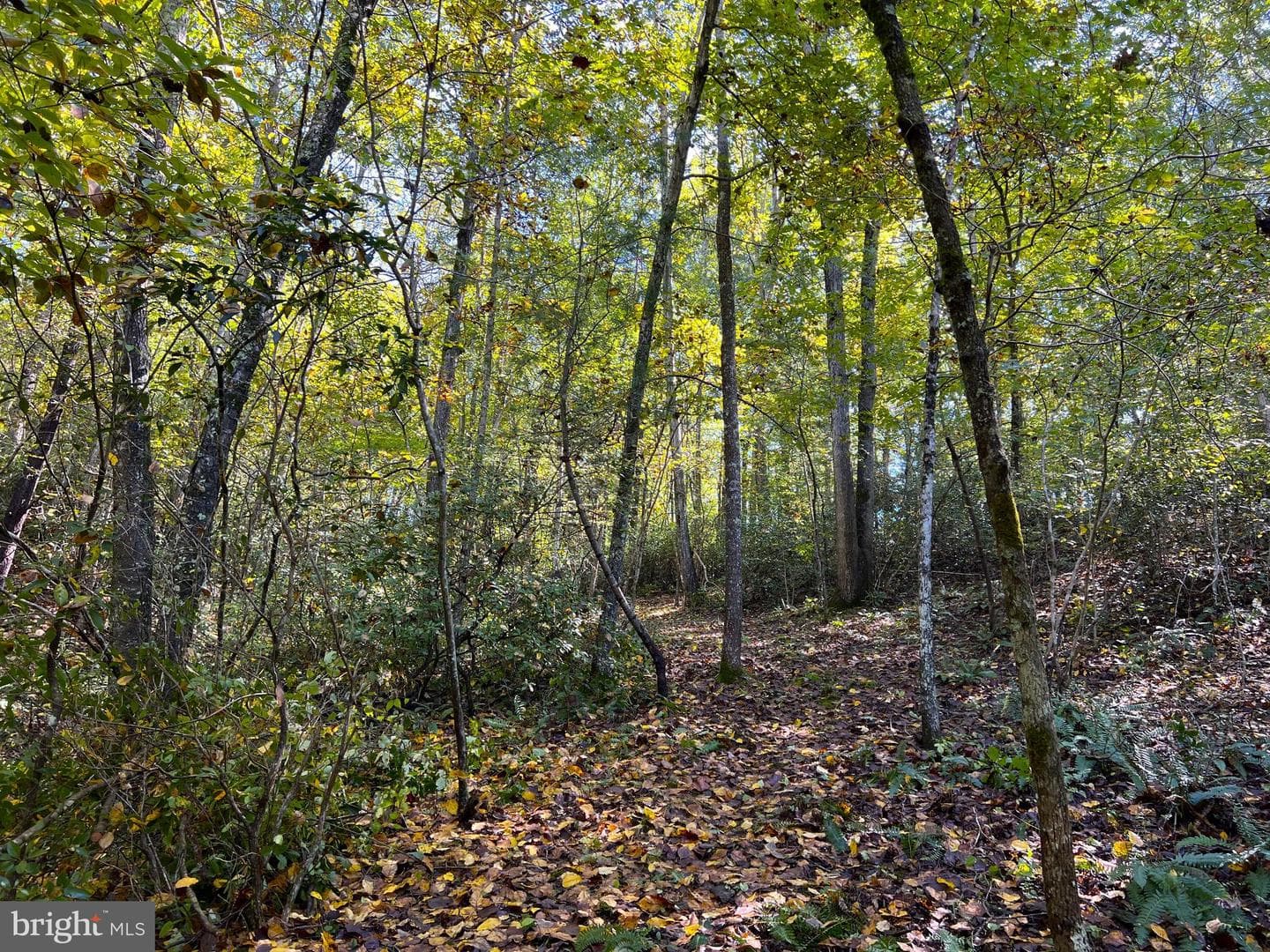 243 Aaron Mountain Road photo 47