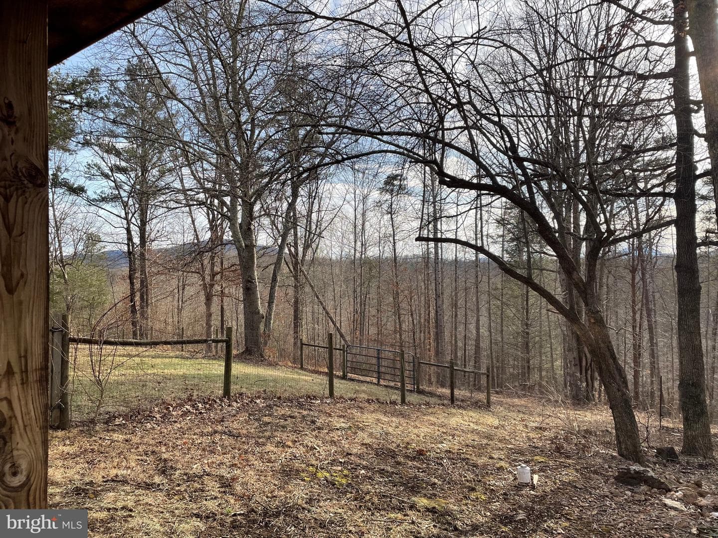 124 Grand View Road photo 3