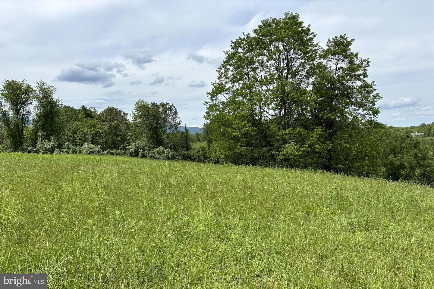 509 Ben Venue Road photo 53