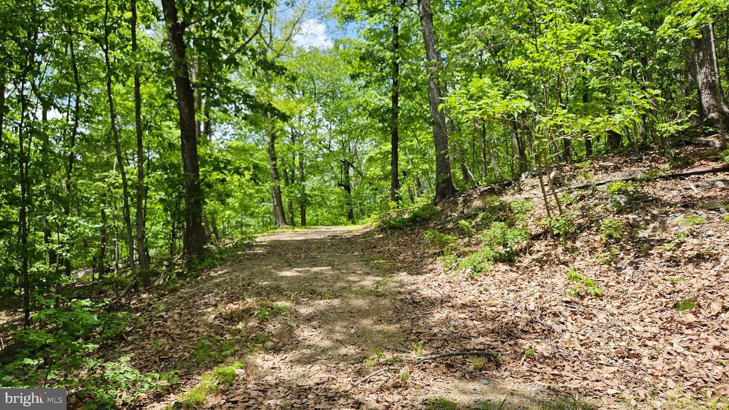 559 Bessie Bell Mountain Road photo 74