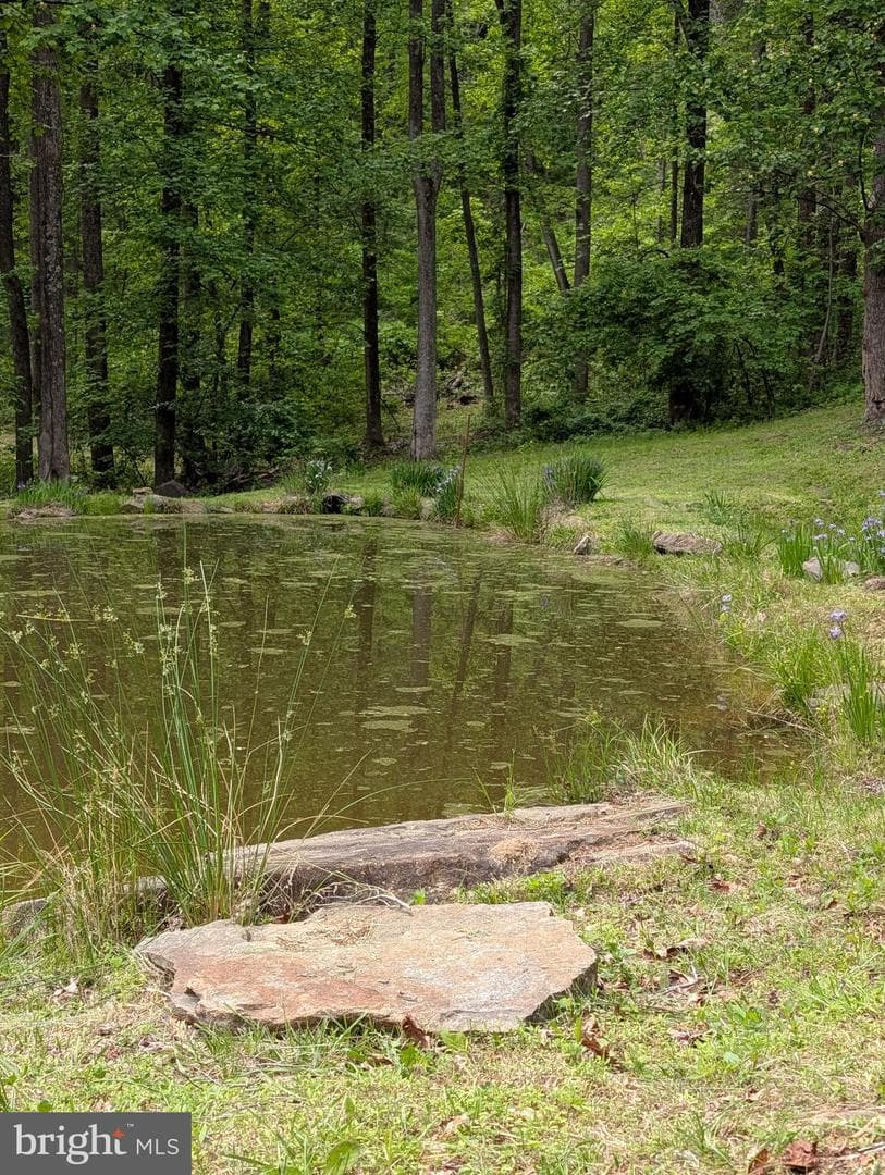 115 Oventop Mountain Lane photo 40