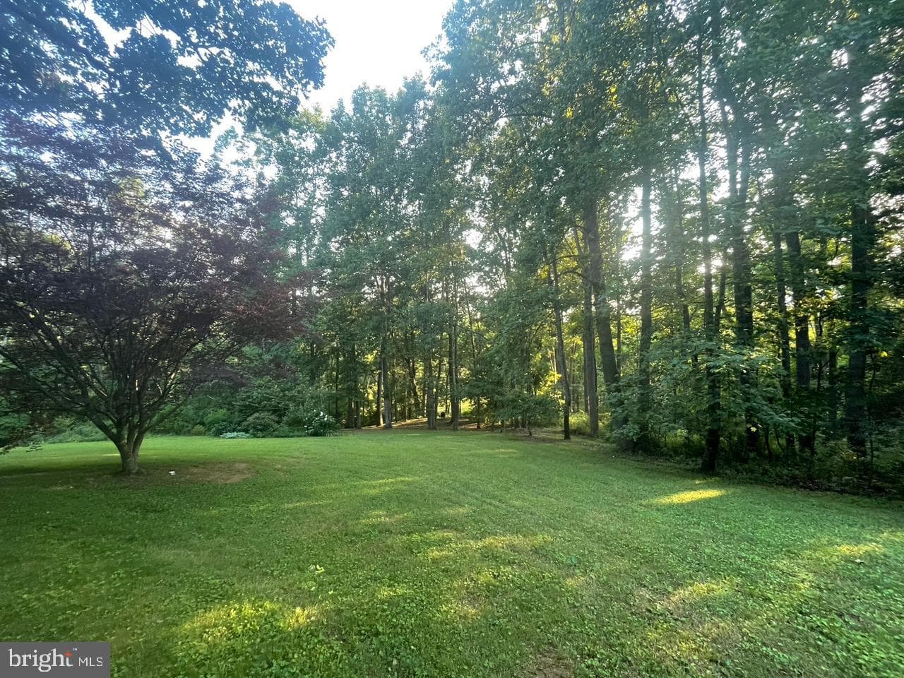 3336 Slate Mills Road photo 12