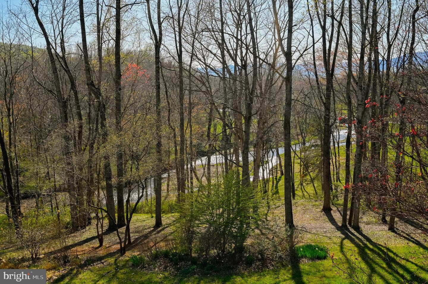3336 Slate Mills Road photo 23