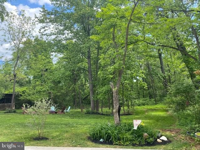 515 Mount Salem Avenue photo 67