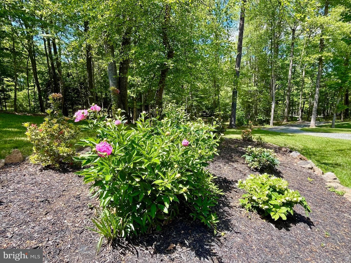 700 Battle Mountain Road photo 65